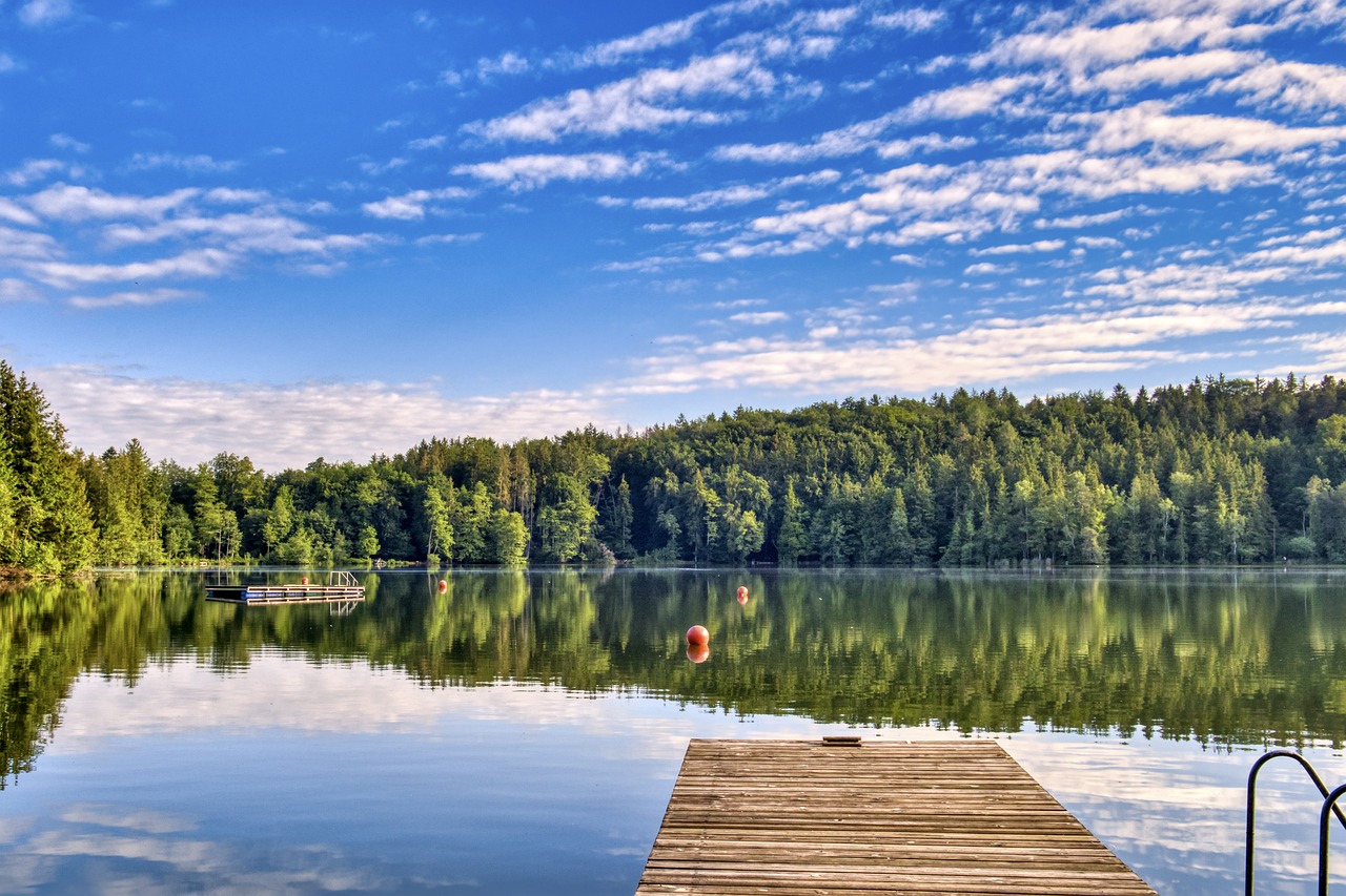 Badbrygga vid skogssjö