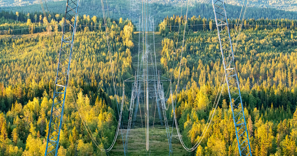 Kraftledning genom skog